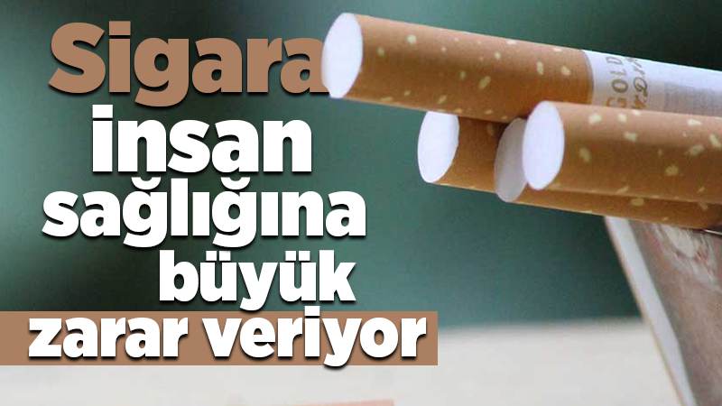 Sigara, insan sağlığına büyük zarar veriyor 