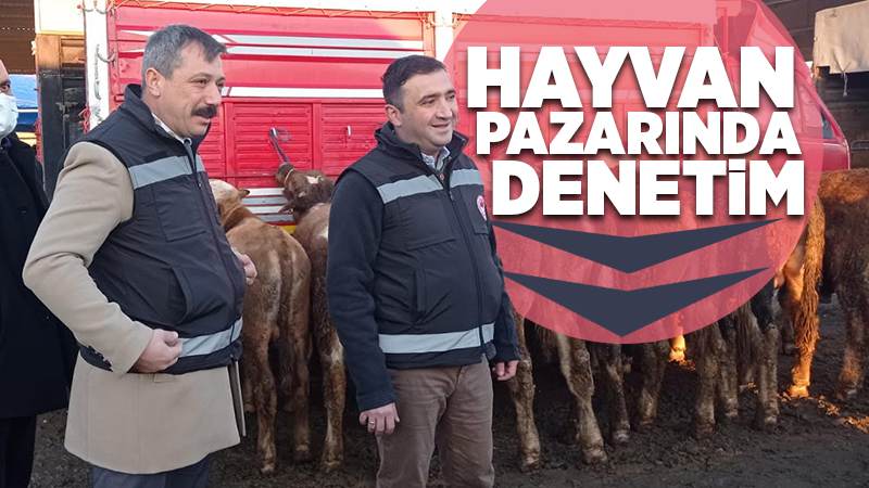 Hayvan pazarına denetim 