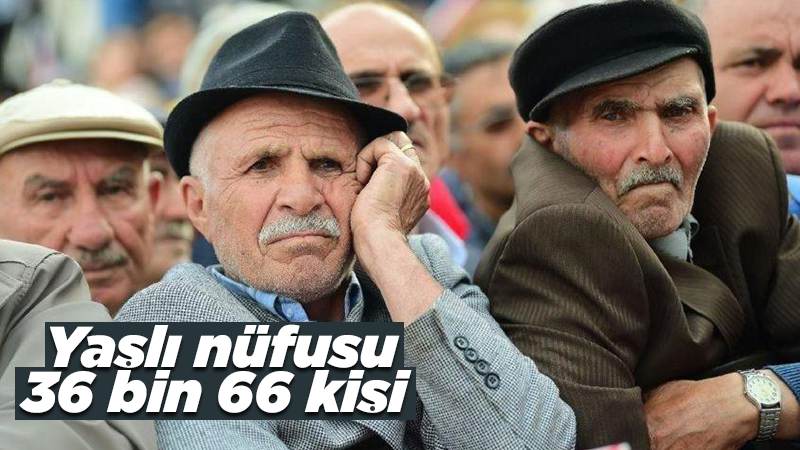 Yaşlı nüfusu 36 bin 66 kişi 