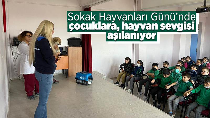 Sokak Hayvanları Günü’nde hayvan sevgisini aşılıyorlar