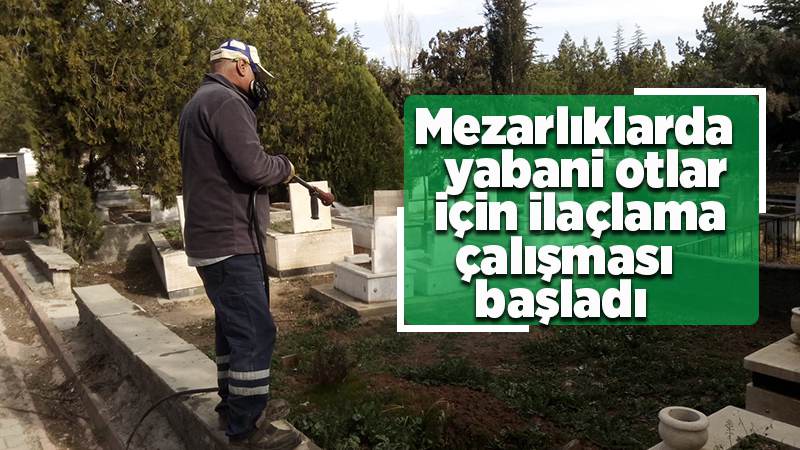 Mezarlıklarda ilaçlama çalışması