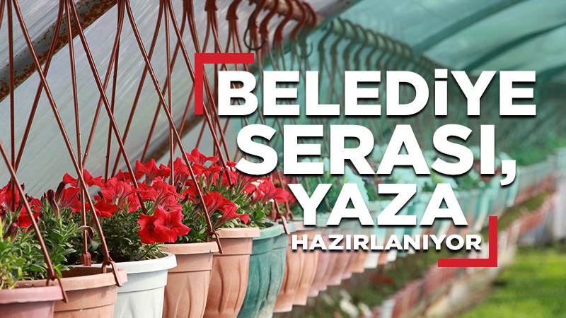 Belediye serası, ekonomik tasarruf sağlıyor