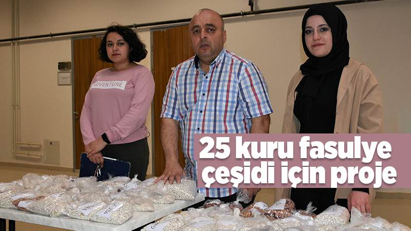 25 kuru fasulye çeşidi için proje 