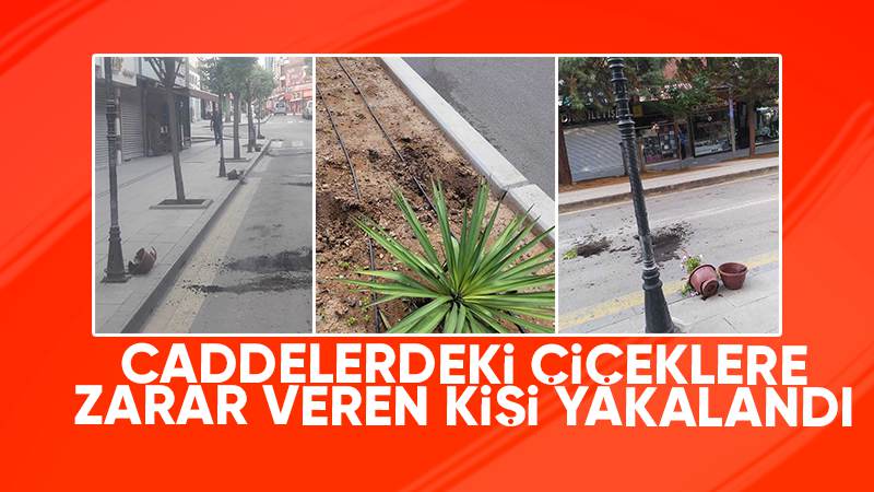 Kırıkkale'de caddelerdeki çiçeklere zarar veren kişi yakalandı