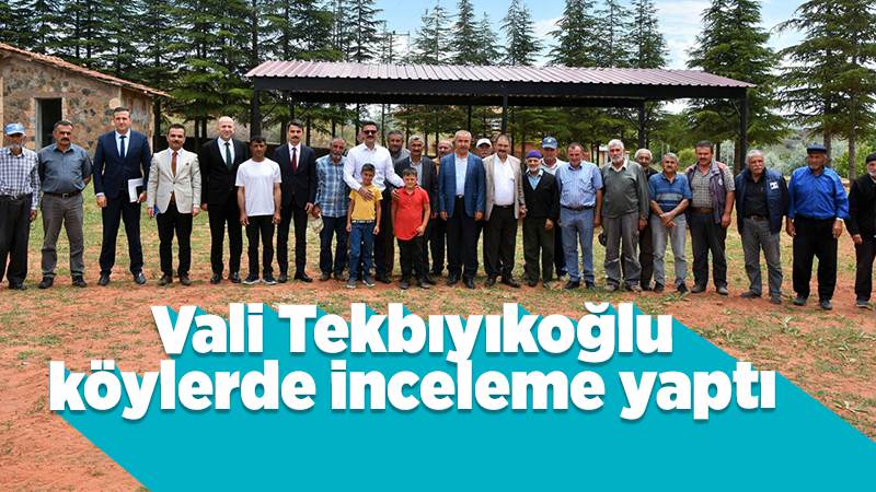 Vali Tekbıyıkoğlu, köylerde inceleme yaptı 