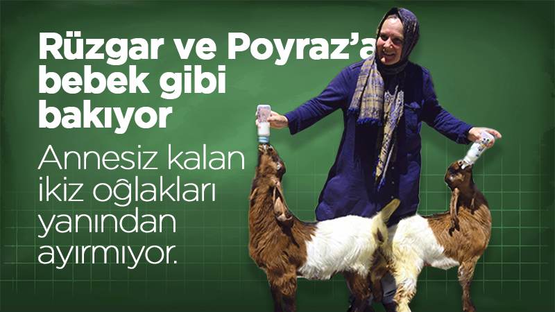 "Rüzgar" ve "Poyraz"a bebek gibi bakıyor