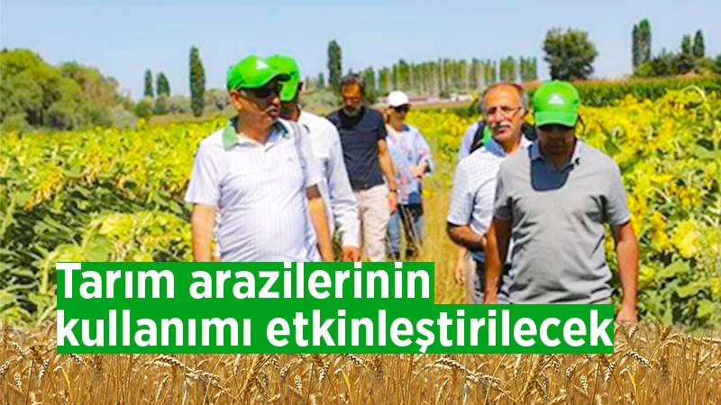 Tarım arazilerinin kullanımı etkinleştirilecek