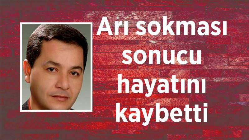 Arı sokması sonucu hayatını kaybetti