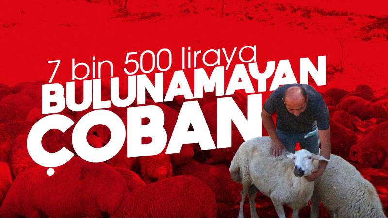 7 bin 500 TL maaşla çoban bulamıyoruz!