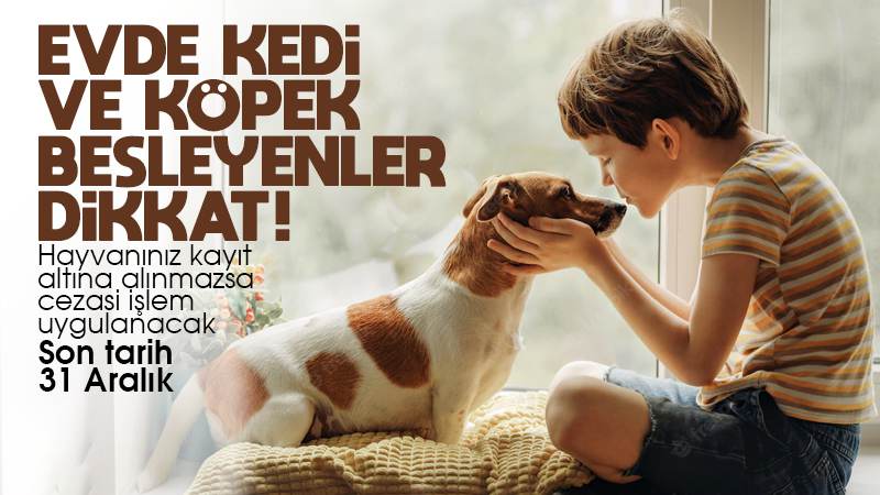 Evinde kedi ve köpek besleyenler dikkat! Son tarih 31 Aralık!