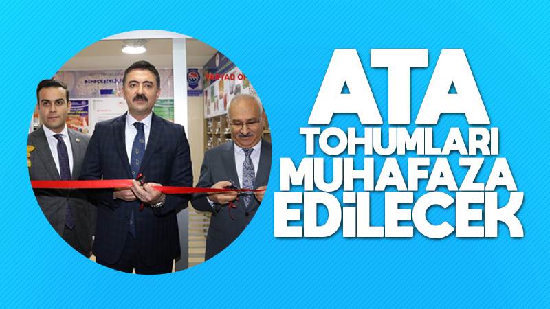 Ata tohumları muhafaza edilecek 