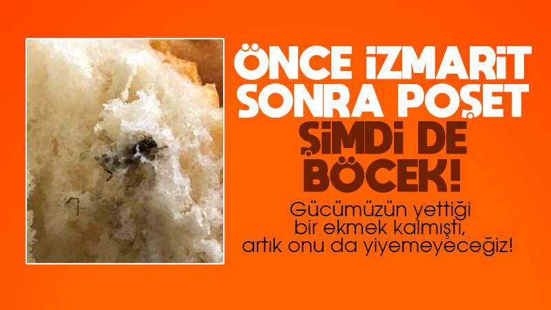 Üçüncü ekmek vakası! İçinden böcek çıktı!