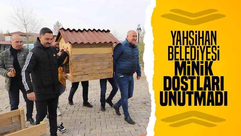 Yahşihan'da minik dostları için yuva yaptılar 