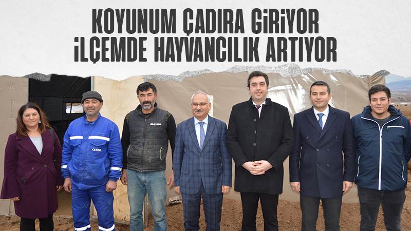 Koyunum çadıra giriyor ilçemde hayvancılık artıyor