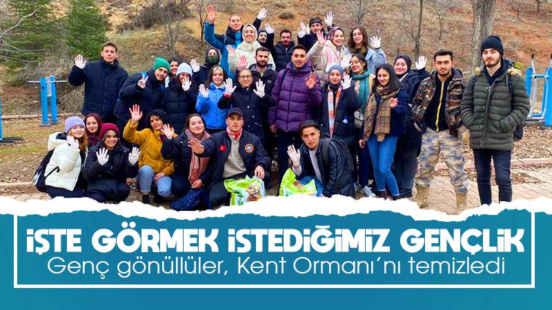 Kırıkkale'de gönüllü gençlerden çevre temizliği etkinliği