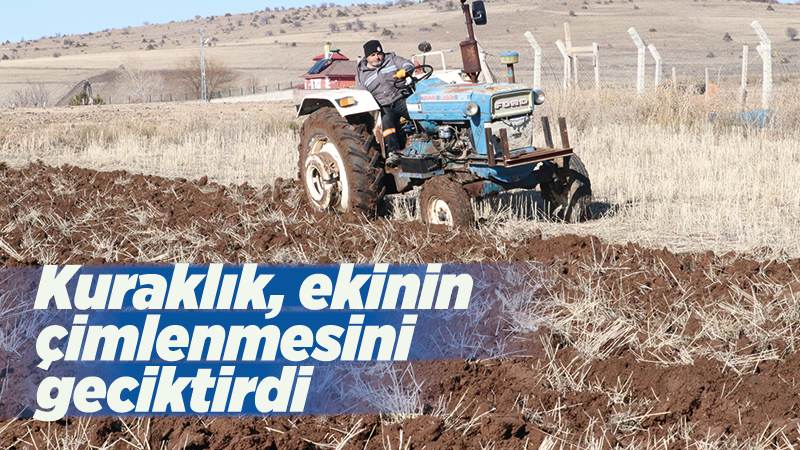 Orta Anadolu'daki kuraklık ekinin çimlenmesini geciktirdi