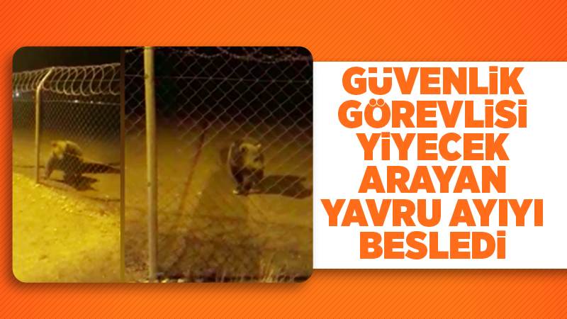 Yozgat'ta güvenlik görevlisi, yiyecek arayan ayı yavrusunu besledi