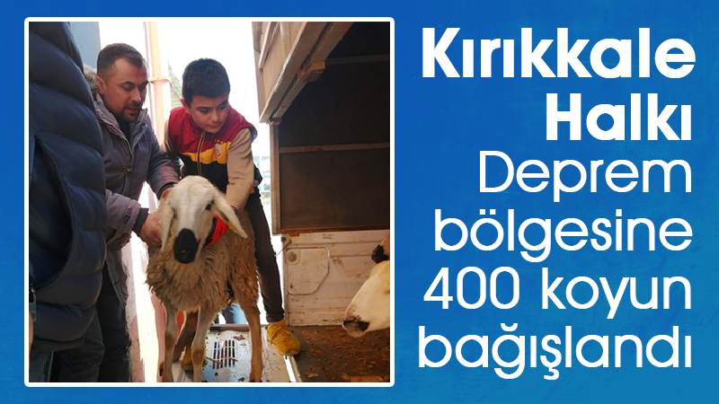 Deprem bölgesine 400 koyun bağışlandı 