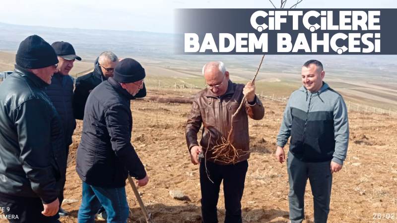 Çiftçilere badem bahçesi 