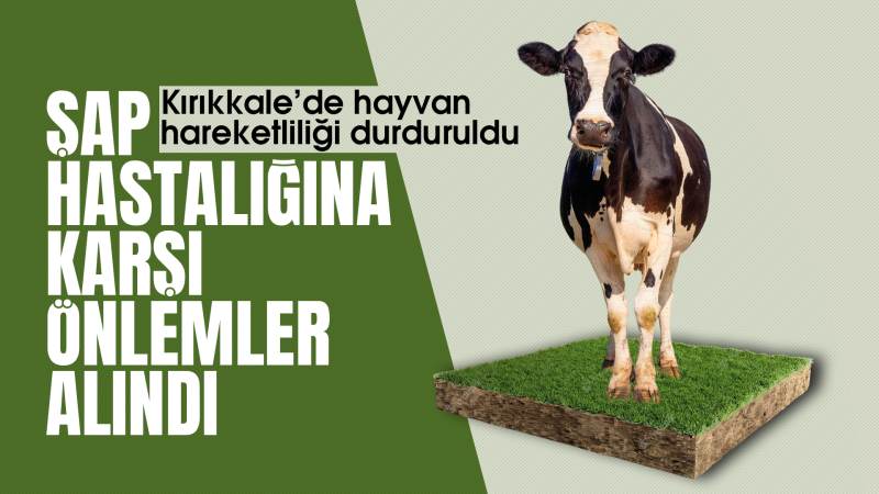 Şap hastalığına karşı önlemler alındı 