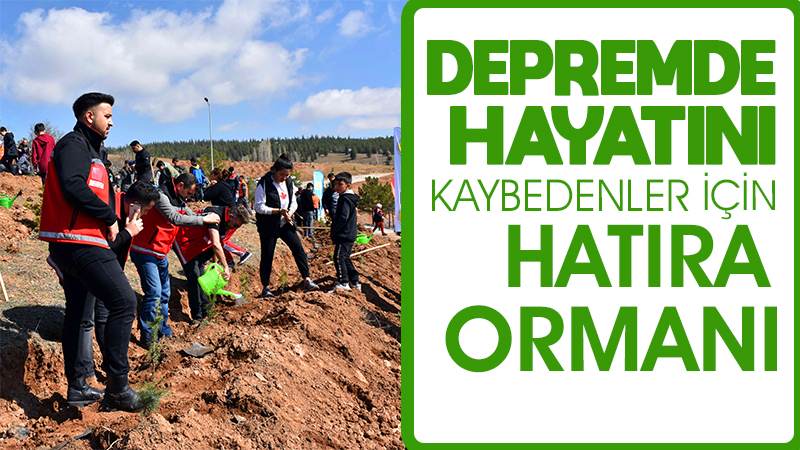 Depremde hayatını kaybedenler için hatıra ormanı 