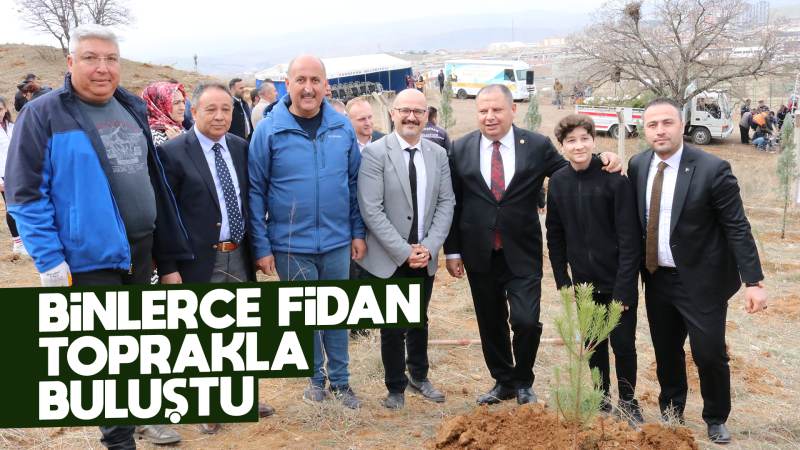 Binlerce fidan toprakla buluştu 