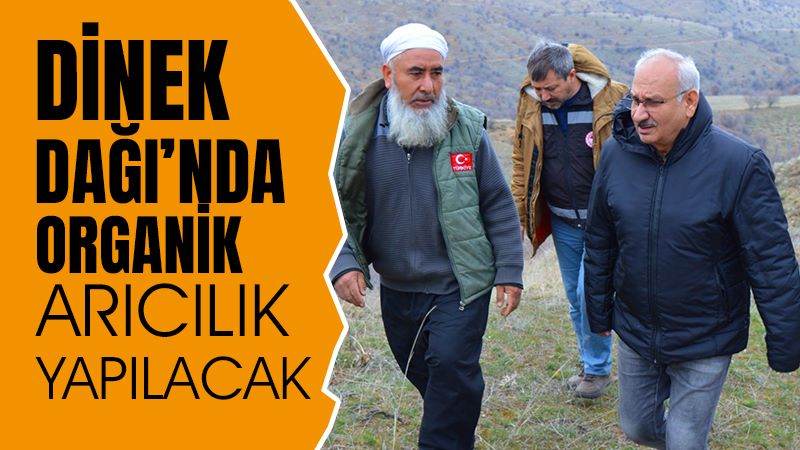 Dinek Dağı’nda organik arıcılık yapılacak 