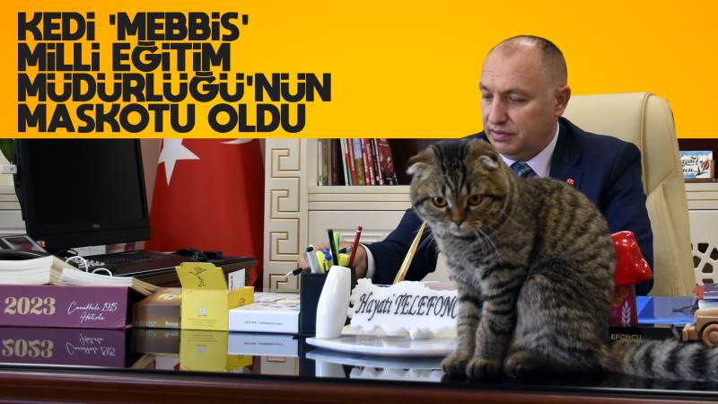  Kedi "Mebbis" Milli Eğitim Müdürlüğünün maskotu oldu