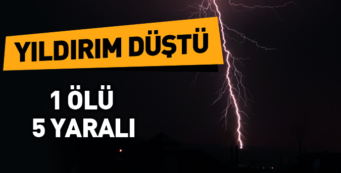 Keçi sürüsüne yıldırım düştü