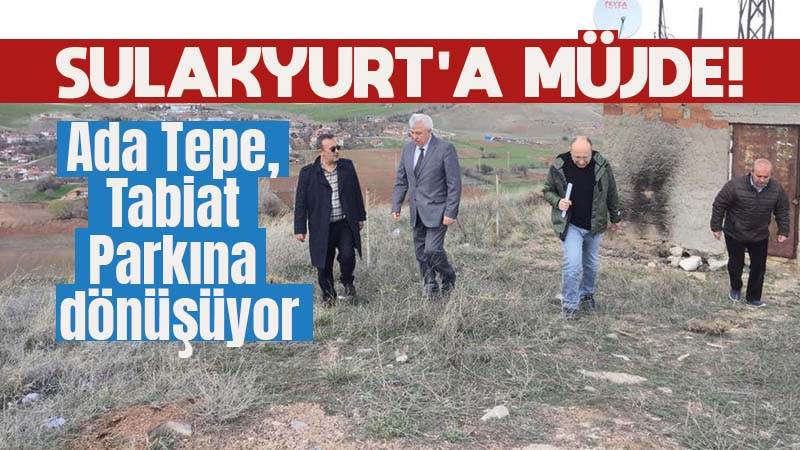 Ada Tepe, Tabiat Parkına dönüşüyor 