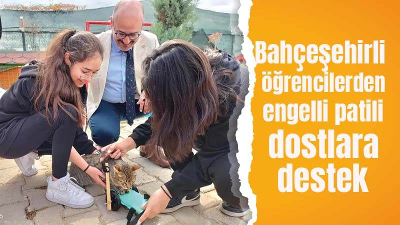 Bahçeşehirli öğrencilerden engelli patili dostlara destek