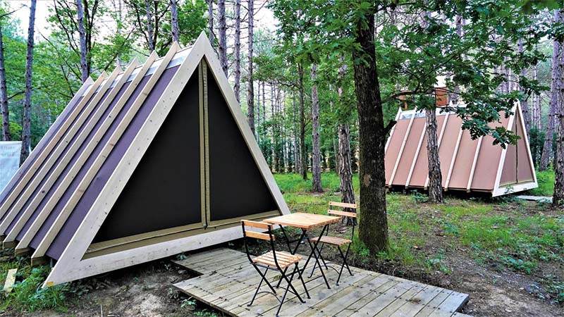 Longosphere: Evcil Hayvan Dostu Otelde Glamping Deneyimi