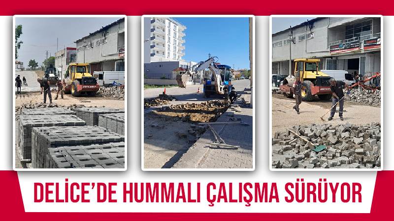 Delice’de hummalı çalışma sürüyor 