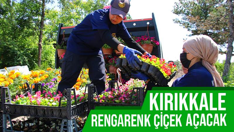 Kırıkkale rengarenk çiçek açacak 