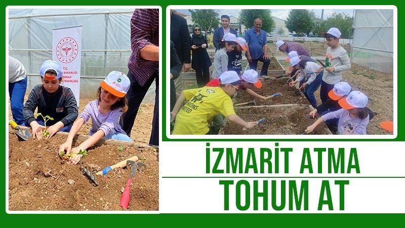 İzmarit atma tohum at 