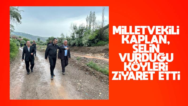 Milletvekili Kaplan, köylerde inceleme yaptı 