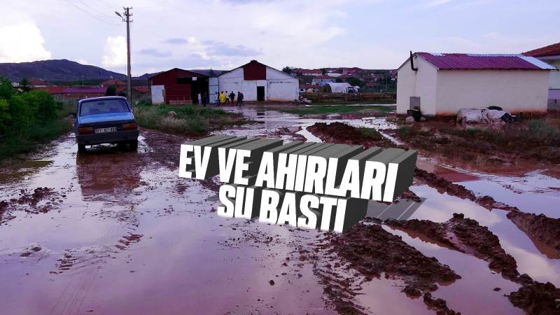 Sağanak nedeniyle dereler taştı, ev ve ahırları su bastı