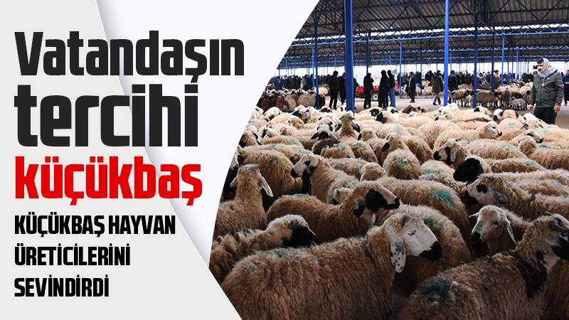 Vatandaşın tercihi küçükbaş