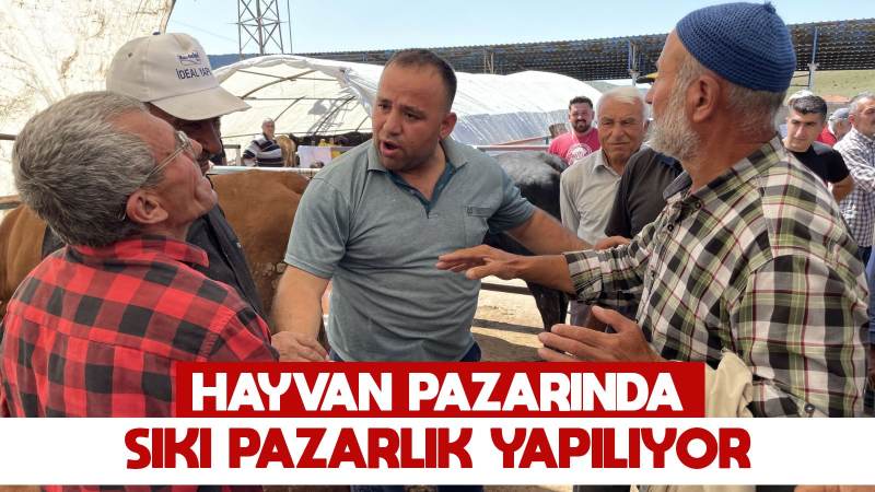 Hayvan pazarında bayram heyecanı 