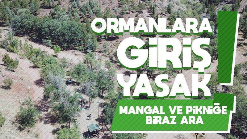 Ormanlara giriş yasak!