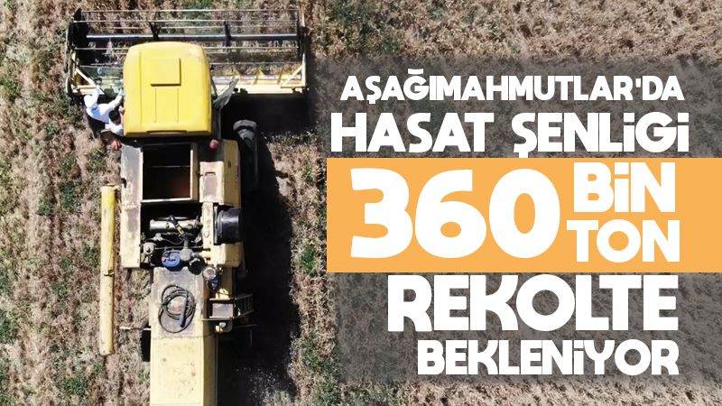 Aşağımahmutlar’da hasat şenliği 