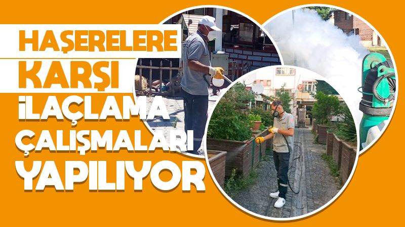 Haşerelere karşı ilaçlama çalışmaları yapılıyor 