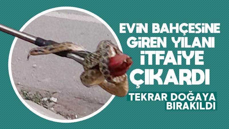 Evin bahçesine giren yılanı itfaiye çıkardı 