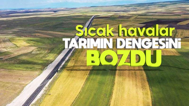 Sıcak havalar tarımın dengesini bozdu 