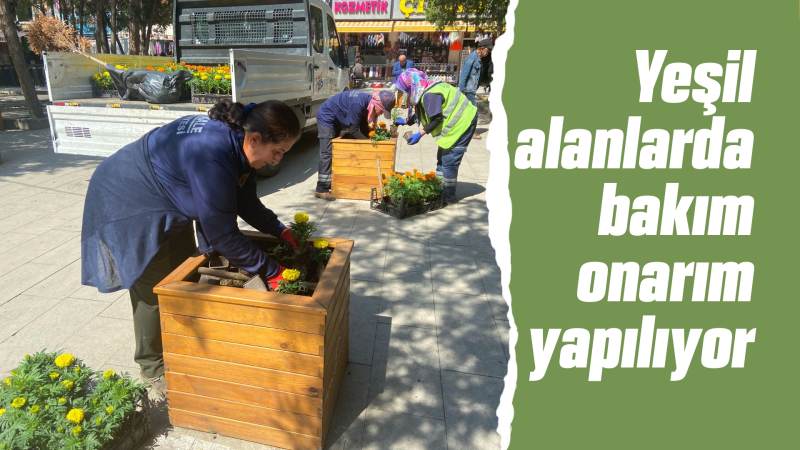 Yeşil alanlarda bakım onarım yapılıyor 