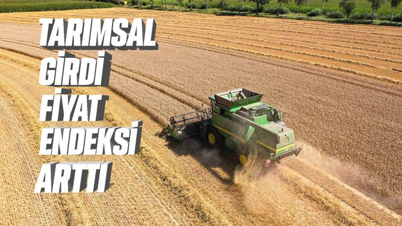 Tarımsal girdi fiyat endeksi arttı 