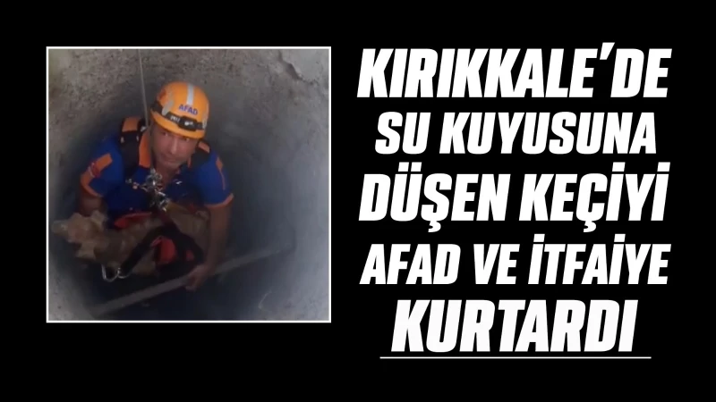 Kırıkkale'de su kuyusuna düşen keçiyi AFAD ve itfaiye kurtardı