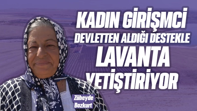 Kadın girişimci devletten aldığı destekle lavanta yetiştiriyor 