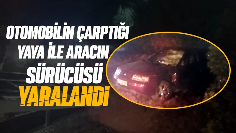 Otomobilin çarptığı yaya ile aracın sürücüsü yaralandı