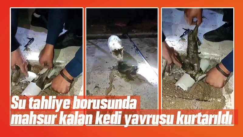 Su tahliye borusunda mahsur kalan kedi yavrusu kurtarıldı